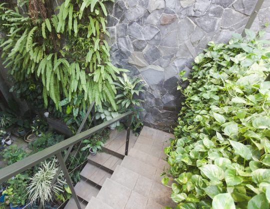 trapezoidhouse-15-hasanhalimarchitects